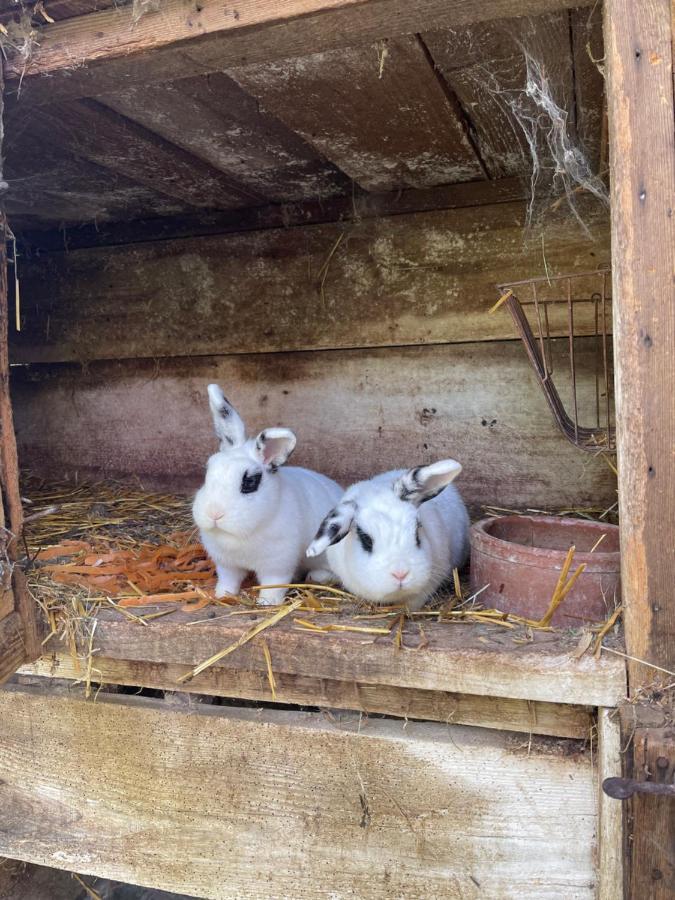 RangenLa Ferme De Marieアパートメント エクステリア 写真